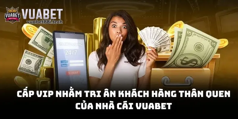 Cấp VIP nhằm tri ân khách hàng thân quen của nhà cái Vuabet